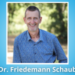 Dr. Friedemann Schaub
